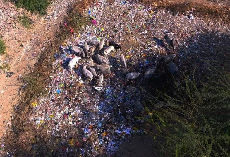 Kareli Nadi before cleanup - polluted with garbage